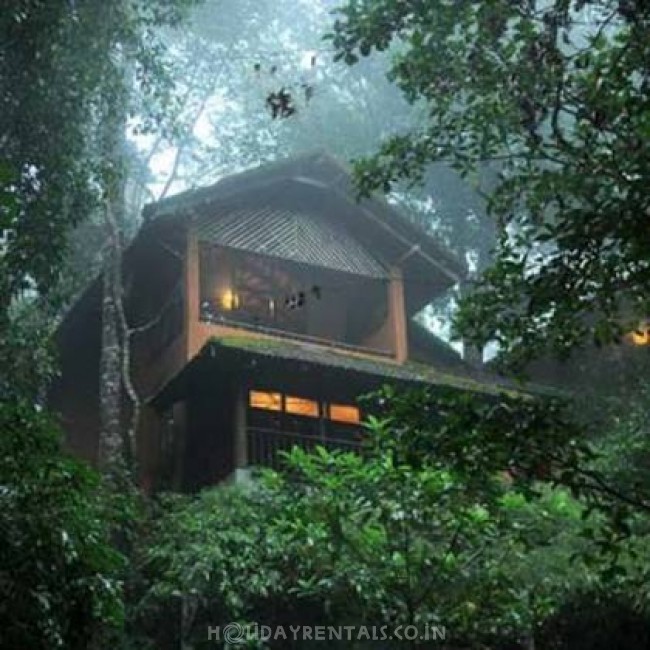 Eco Friendly Holiday Stay , Wayanad