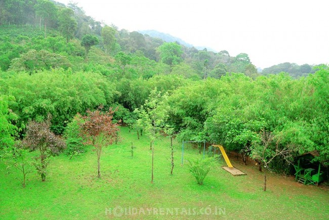 Jungle Stay, Wayanad