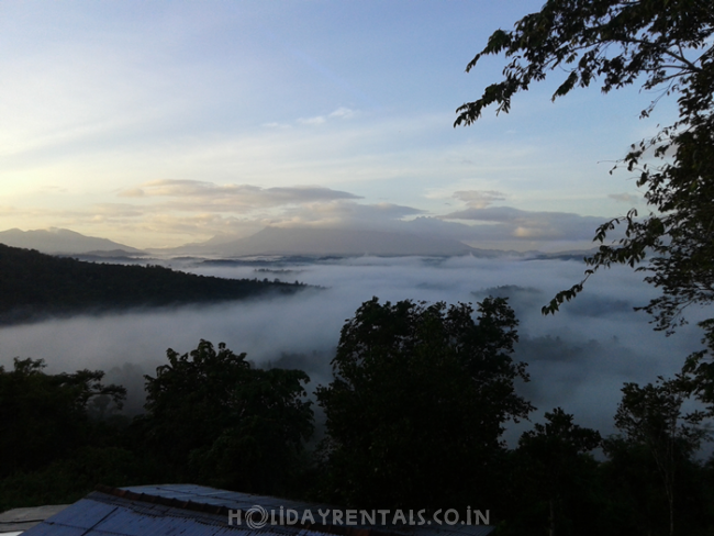 Hill Top View Stay, Wayanad