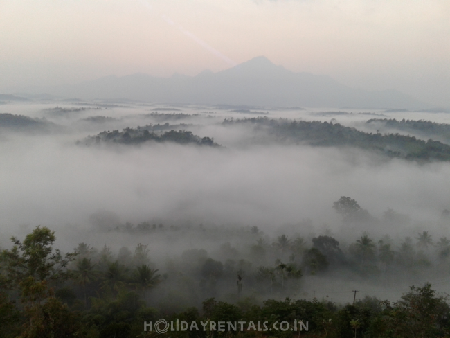 Hill Top View Stay, Wayanad