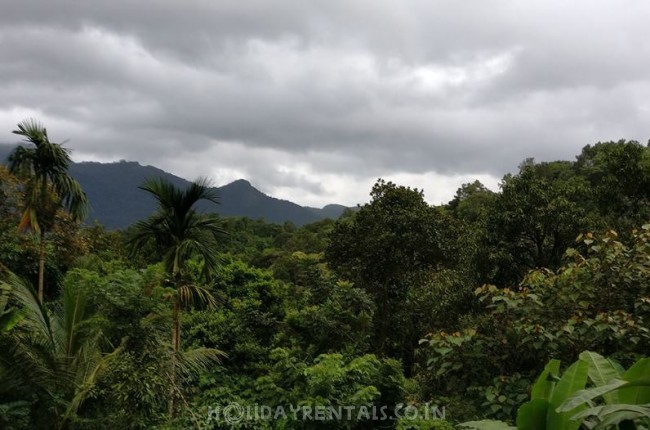 Stay Near Pookode Lake, Wayanad