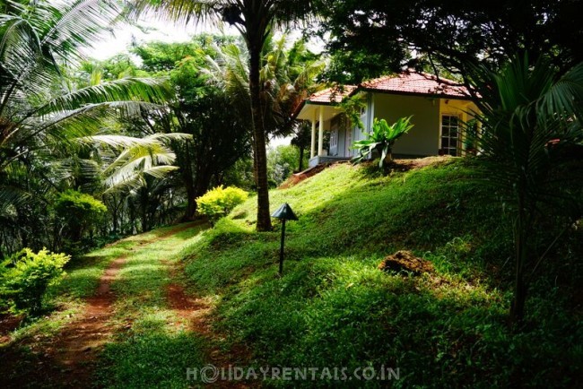 Jungle Stay, Pathanamthitta