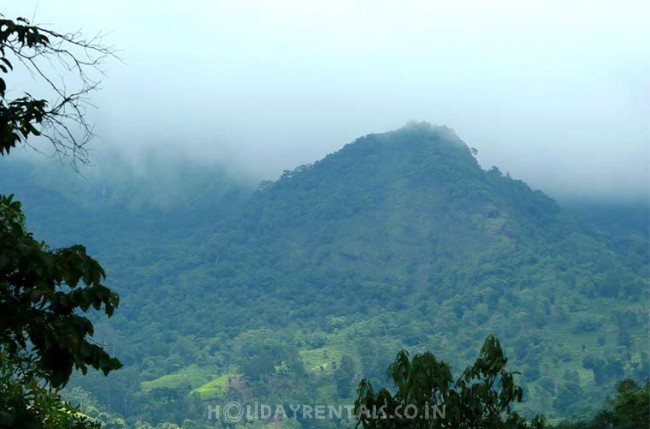 Valley View Holiday Stay, Wayanad