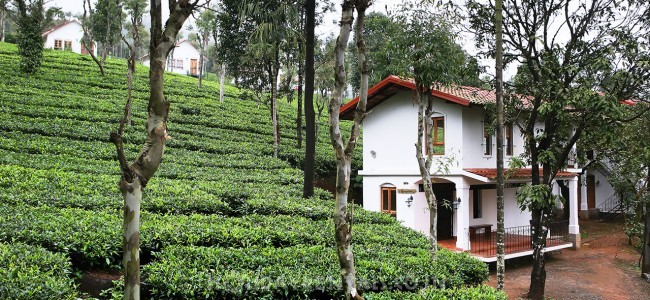 Tea Estate View Holiday Cottage, Wayanad