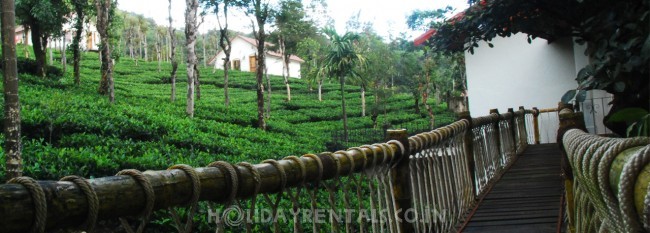 Tea Estate View Holiday Cottage, Wayanad