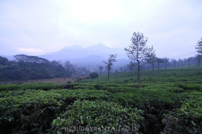 Hill View Holiday Stay, Wayanad