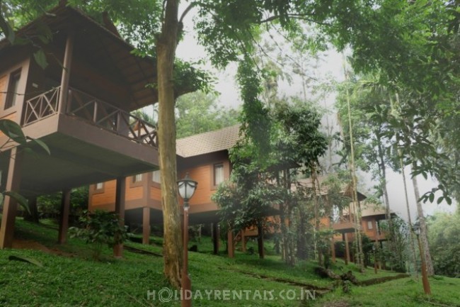 Jungle Cottages , Wayanad