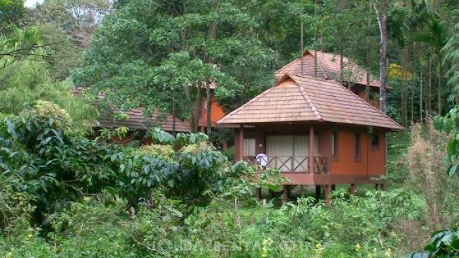 Jungle Cottages , Wayanad