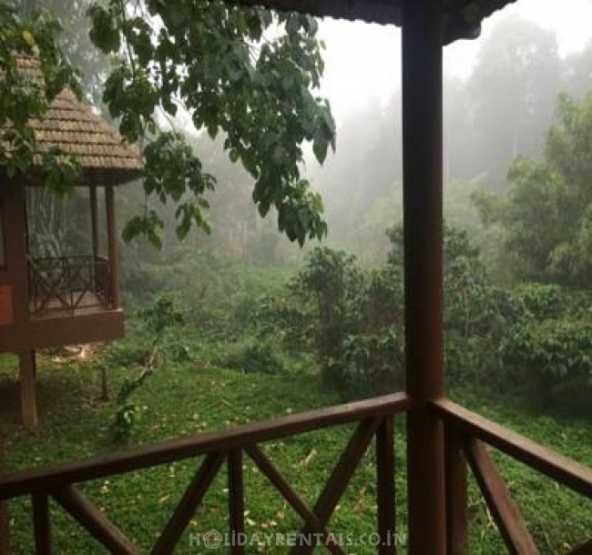 Jungle Cottages , Wayanad