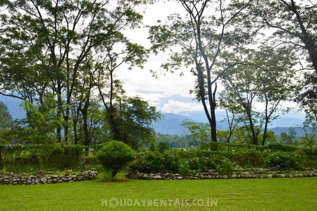 Tea Estate Stay, Jalpaiguri