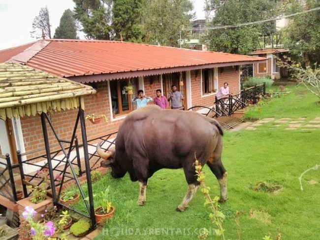 Stay Near Chettiar park, Kodaikanal