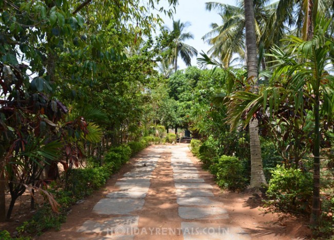 Holiday home Nandi Hills, Bangalore