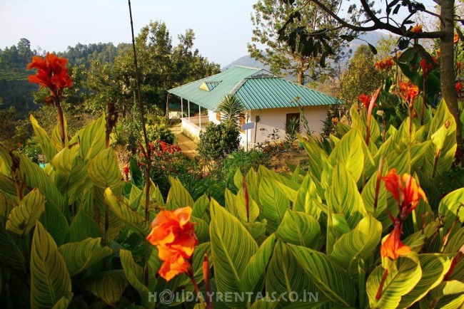 Home Away Home , Idukki