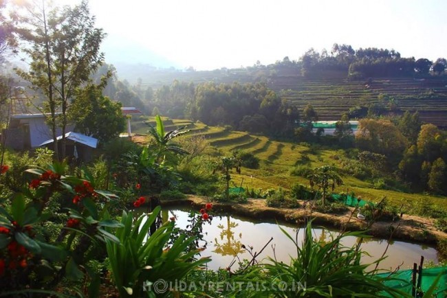 Home Away Home , Idukki