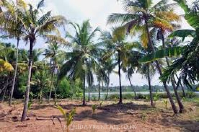 Lake View Heritage Home, Kochi