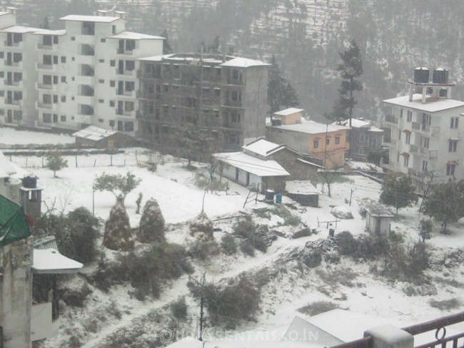 Misty Holiday Cottage, Nainital