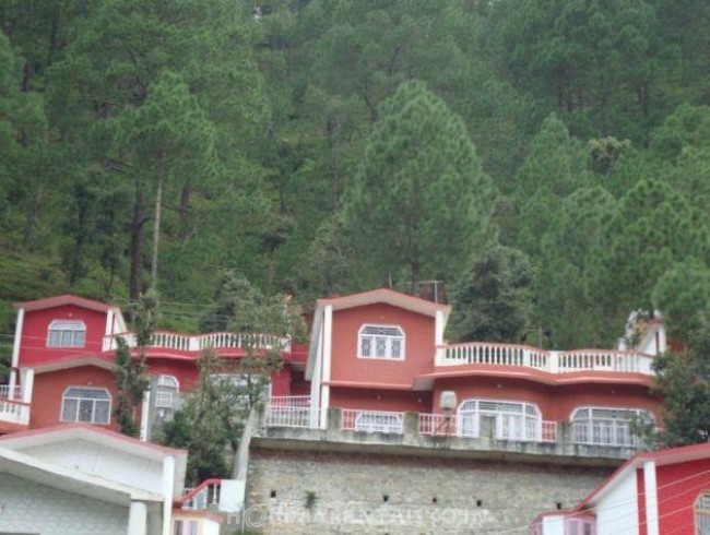 Misty Holiday Cottage, Nainital