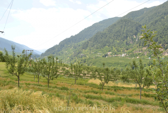 Holiday Cottages, Manali