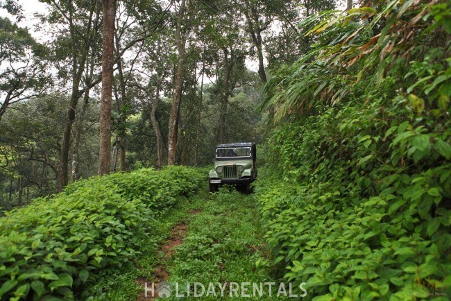 3 Bedroom Forest Bungalow, Idukki