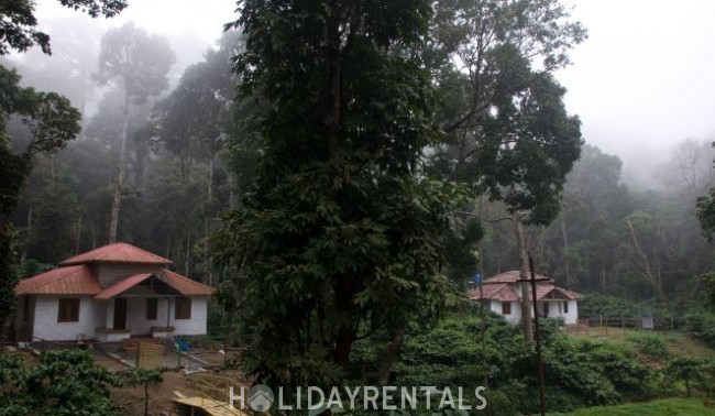 Forest View Stay, Palakkad