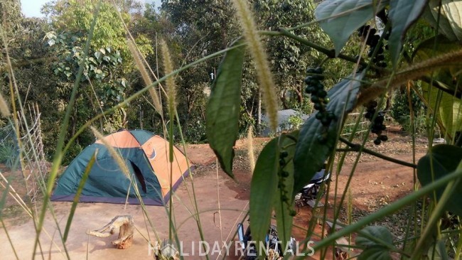 Hill Top View Stay, Idukki