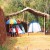 Tent accommodation at plantation 