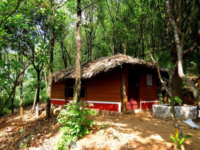 Hill Top View Stay, Kannur