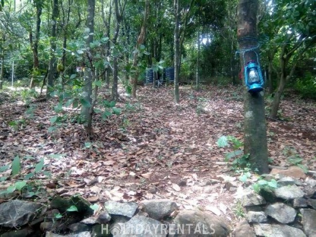 Hill Top View Stay, Kannur