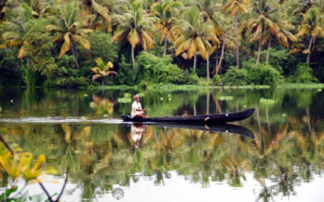 Backwater View Cottages, Alleppey