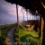 Views from the property