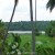 Views from the property