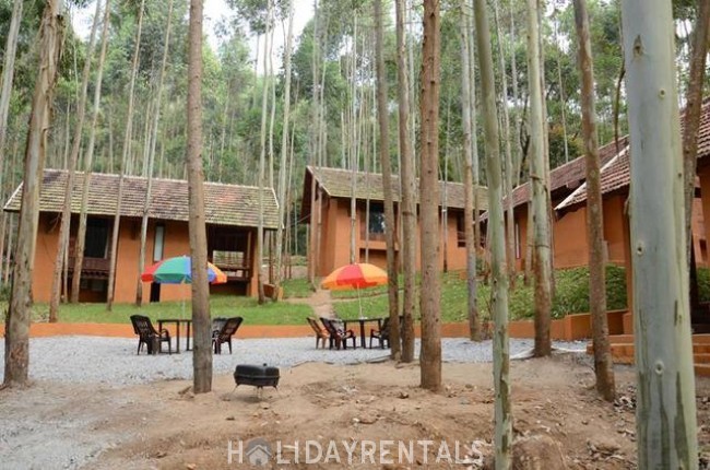 Forest View Stay, Idukki