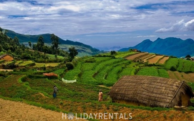 Hill Top View Stay, Idukki