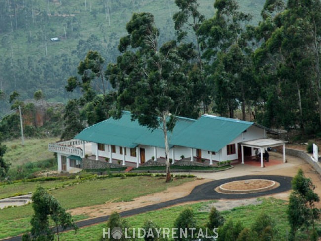 Jungle Stay, Munnar