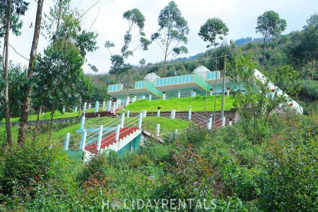 Forest View Stay, Idukki