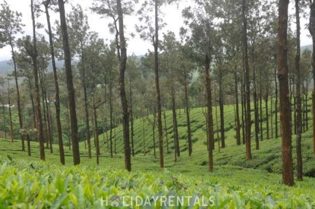 Plantation View Mansion, Wayanad