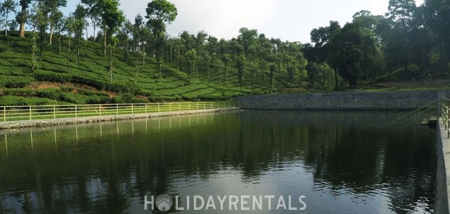 Tea Estate View Holiday Stay, Wayanad