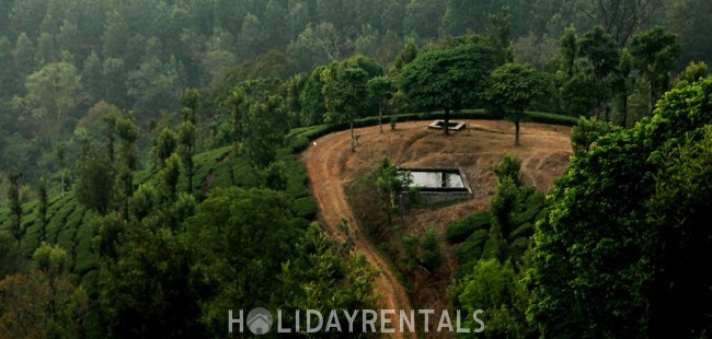 Tea Estate View Holiday Stay, Wayanad