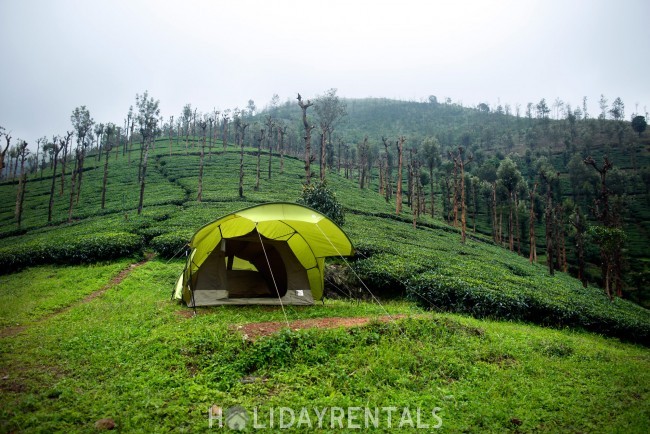 Tea Estate View Holiday Stay, Wayanad