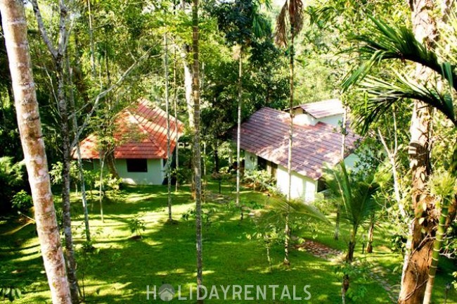 Plantation View Cottage, Wayanad