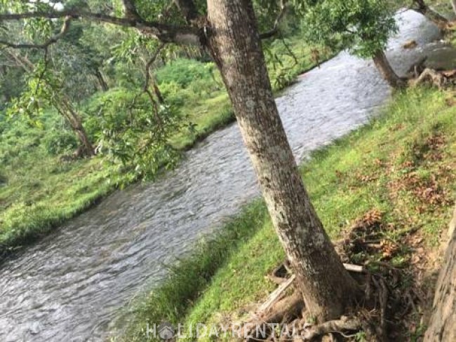 Jungle View Holiday Stay, Idukki