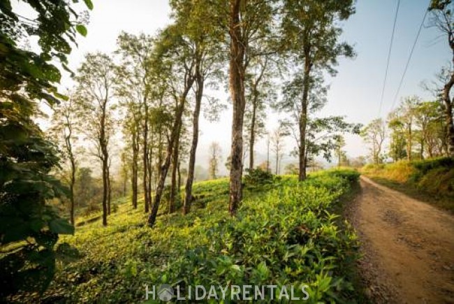 Plantation View Cottage, Wayanad