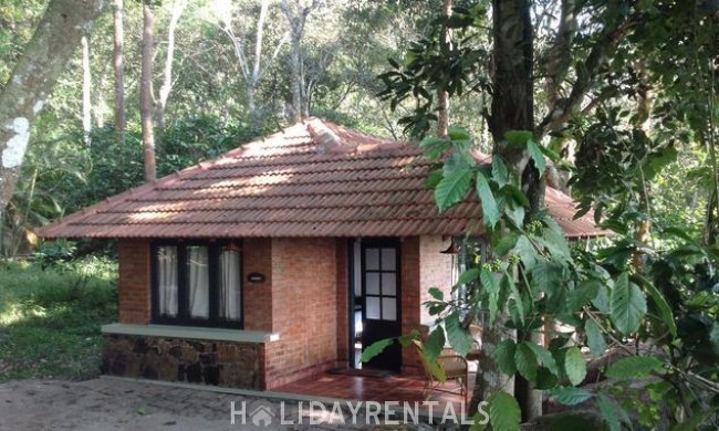 Stay Near Edakkal Cave, Wayanad