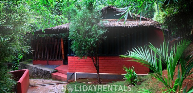 Eco Friendly Cottages , Wayanad