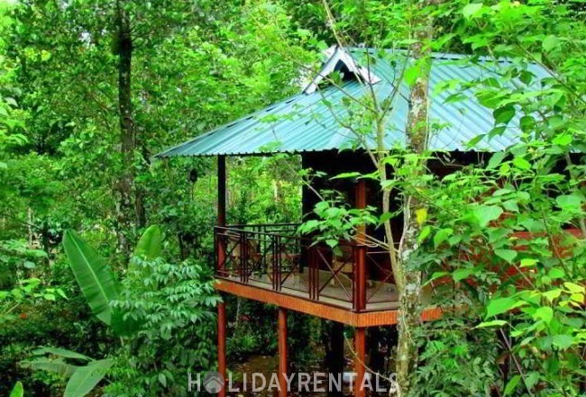 Stay Close To Nature, Thekkady