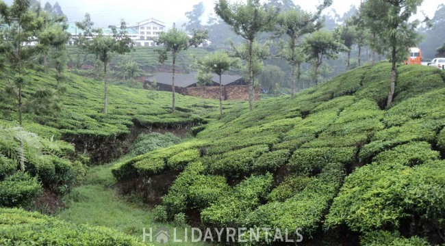 Tranquil Holiday Home, Idukki