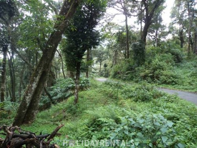 Eco Friendly Holiday Stay , Idukki