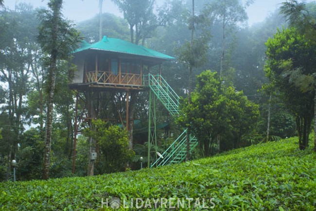 Eco Friendly Holiday Stay , Thekkady