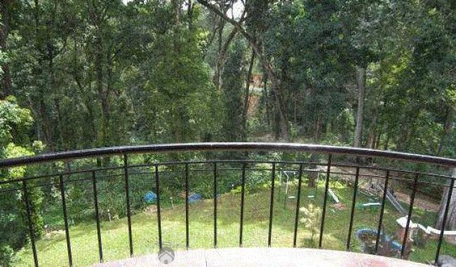 Forest View Stay, Idukki