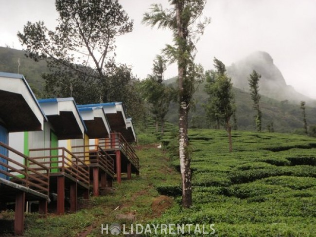 Misty View Holiday Stay, Wayanad